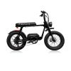 Vintage Fashion All-Road Fat Tire Electric Bike C1